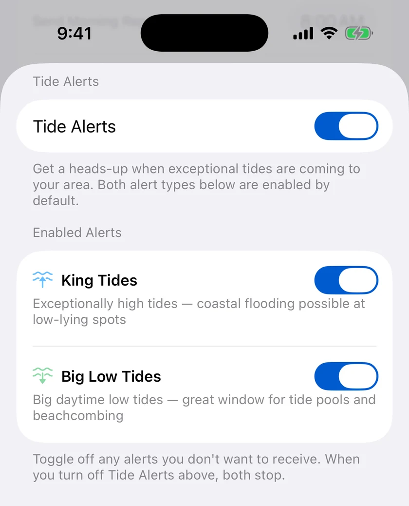 Forecast Bar's Tide Alerts settings on iPhone, with King Tides and Big Low Tides each on its own switch, both enabled