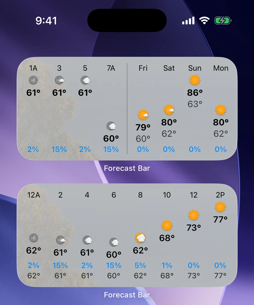 An iPhone Home Screen with two Forecast Bar widgets stacked: Hourly & Daily, showing four hours on the left and four days on the right either side of a divider, and Hourly Graph below it, showing fourteen hours as a rising temperature curve